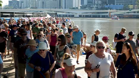 Million-Pfoten-Spazieren,-Hundewanderung-In-Southbank,-Brisbane-2018---Hundepark,-Hundewanderung-Mit-Besitzer---Menschen-Im-öffentlichen-Bereich