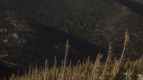 Bäume-An-Den-Berghängen-Im-Rocky-Mountain-Nationalpark-Bei-Sonnenuntergang