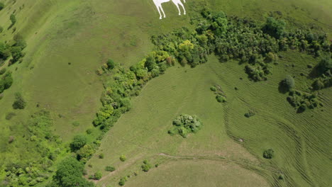 Sobrevuelo-Aéreo-Que-Revela-El-Caballo-Blanco-De-Westbury-En-Un-Día-Soleado-De-Verano-Con-Excursionistas-Caminando-Alrededor-Del-Perímetro-Del-Caballo