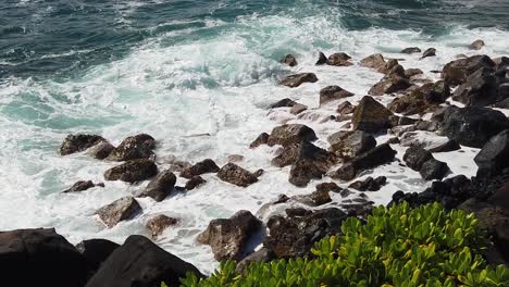 HD-Slow-motion-Hawaii-Kauai-static-of-ocean-waves-crashing-left-to-right-on-rocky-shore-with-lava-rocks-and-shrubs-in-foreground