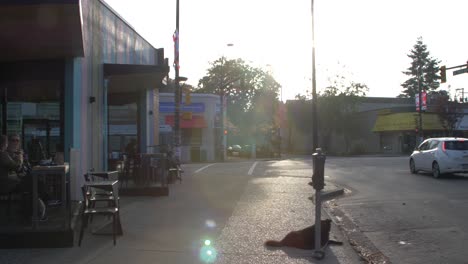 morning-sunrise-outside-of-a-modern-west-coast-coffee-shop