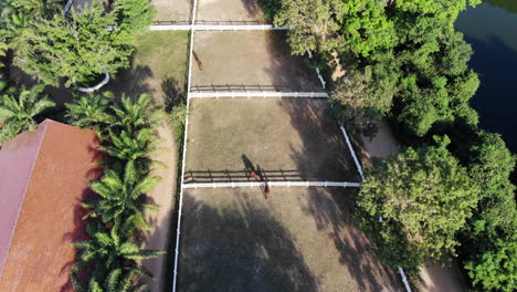 Antena-Sobre-Potreros-De-Caballos-En-Un-Centro-Ecuestre-En-La-Exuberante-Campiña-Tropical-Tailandesa