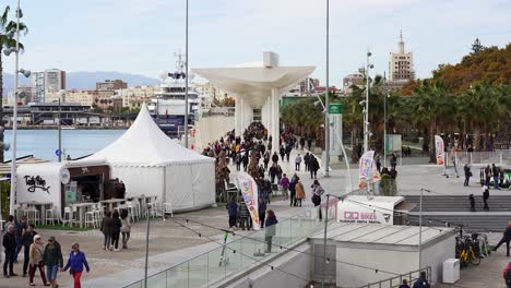 Very-busy-day-full-of-tourists-in-the-port-of-Malaga-promonade