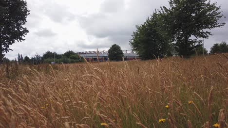 Una-Toma-Amplia-De-Un-Campo-Cubierto-De-Maleza-Con-El-Parque-Hampden-Al-Fondo