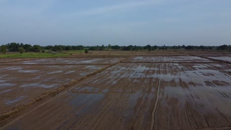 Flying-over-the-wet-farmlands-of-Battambang,-Cambodia-after-a-flood--aerial