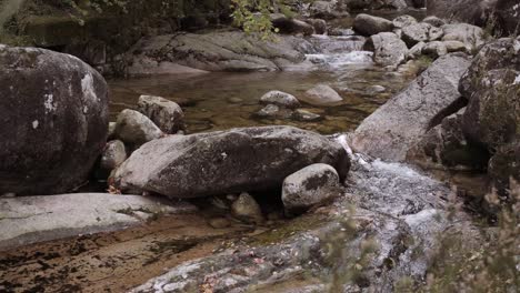 Reveal-Slow-motion-jib-shot-of-water-stream-creek