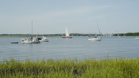 Boats-Anchored-on-the-Ashley-River-on-a-Sunny-Day,-Wide-Shot,-Static
