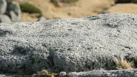 Grey-Rocks-On-The-Mountains-In-Serra-Da-Estrela,-Portugal---Closeup-Pan-Right-Shot