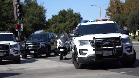 police-cars-on-the-street