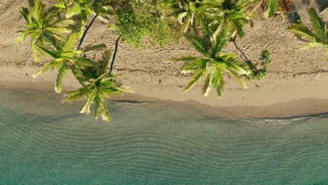 Soft-Blue-Ocean-Wave-On-The-Sandy-Beach-In-Fiji-Island-During-Summertime--aerial-drone-shot