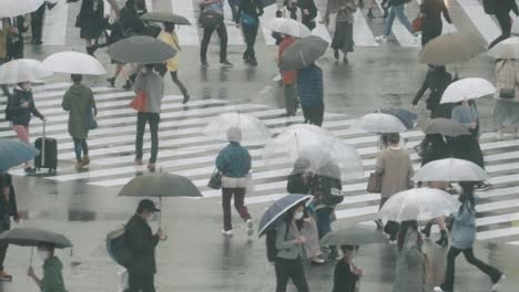 Multitud-De-Personas-Con-Sombrillas-Caminando-En-El-Cruce-De-Shibuya-En-Un-Día-Lluvioso-En-Tokio,-Japón