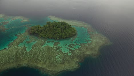 Aerial-shot-of-a-lush,-green-and-small-private-island-with-a-beautiful-coral-reef-under-it
