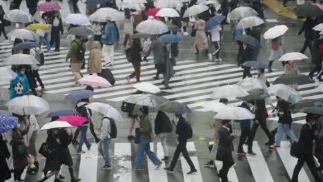 Multitud-De-Personas-Con-Paraguas-Caminando-En-El-Cruce-De-Shibuya-En-Un-Día-Lluvioso-En-Tokio,-Japón