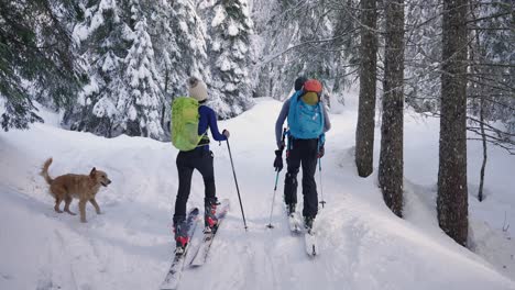 Couple-skiing-with-a-happy-dog-in-snow-forest-as-a-family