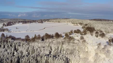 Luftaufnahme-Einer-Winterlandschaft-Mit-Fahrenden-Autos-Im-Verschneiten-Hintergrund