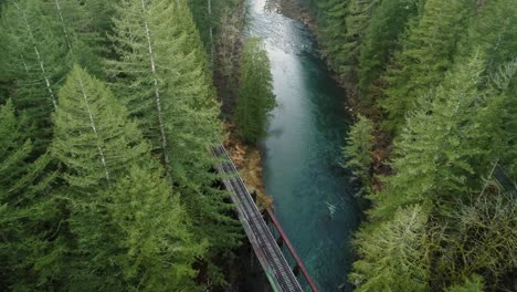 Smooth-flight-around-trees-above-river,-railroad-tracks,-and-rapids