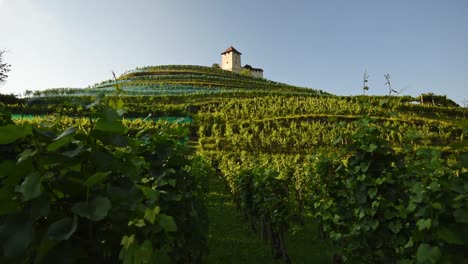 Una-Montaña-De-Viñedos-Con-El-Castillo-Gutenberg-Encima