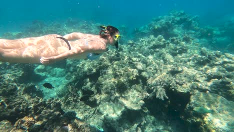 Buceo-Femenino-Bajo-El-Agua-A-Lo-Largo-De-La-Gran-Barrera-De-Coral