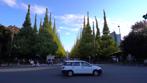 Hermoso-Callejón-Bordeado-De-árboles-Ginko-Cerca-De-Gaienmae-En-Tokio-En-Un-Hermoso-Día