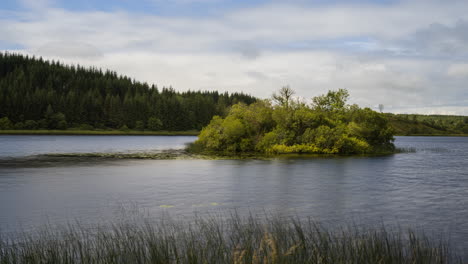 Time-lapse-of-tree-lake-island-with-reeds-in-the-foreground-and-forest-in-the-background-on-a-cloudy-summer-day-in-Ireland