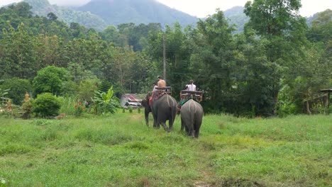 Tourists-riding-on-a-back-of-an-elephant-in-Thailand