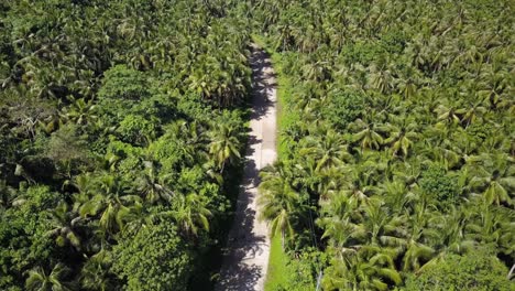 Static-aerial-shot-of-scooter-driving-away-on-palm-tree-lined-road-on-Siargao,-the-Philippines