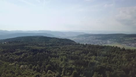 Drohnenflug-über-Einen-Wald-In-Der-Schweiz