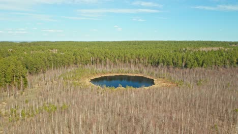 AERIAL:-Isolated-Lake-in-Forest-on-a-Very-Sunny-warm-Spring-Day