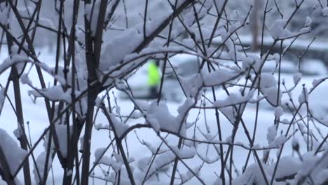 Ramas-Cubiertas-De-Nieve-En-Primer-Plano-Con-Un-Hombre-Con-Chaqueta-Amarilla-Caminando-En-El-Fondo-Borroso