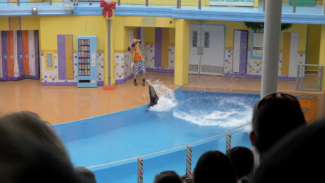 Eine-Kegelrobbe-Im-SeaWorld-Führt-Während-Einer-Kindershow-Einen-Turmsprung-Durch,-Bespritzt-Einen-Trainer-Und-Schwimmt-Davon