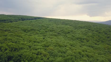 Very-dense-mixed-green-forest---view-from-above,-aerial-footage-with-no-spaces,-very-tight