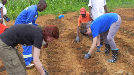 Amerikaner-Und-Simbabwer-Arbeiten-Zusammen,-Um-Samen-In-Einem-Neuen-Garten-Zu-Pflanzen,-Missionsprojekt