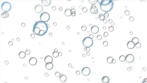Bubbles-on-white-background