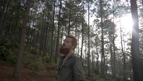 A-slow-motion-shot-of-a-bearded-ginger-man-looking-up-and-around-at-the-canopy-of-a-pine-forest-while-the-sun-peaks-through