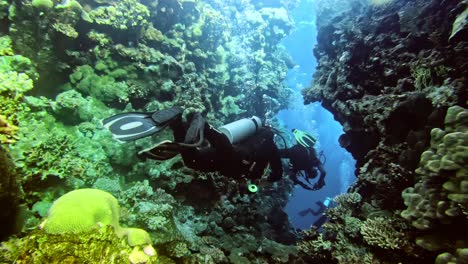 Gruppe-Von-Tauchern,-Die-Durch-Die-Lücke-Im-Korallenriff-Schwimmen