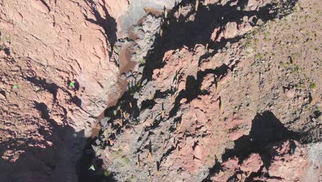 Aerial-cinematic-shot-of-of-popular-giant-cactus-canyon-near-San-Pedro-de-Atacama-in-the-Atacama-Desert,-northern-Chile,-South-America