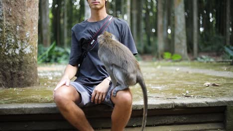 Ein-Affe-Im-Heiligen-Affenwald-Springt-Auf-Einen-Touristen,-Der-Hofft,-Etwas-Zu-Essen-Zu-Bekommen