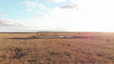 Morgenblick-über-Einen-Kleinen-See-Im-Outback-Australiens,-Aufgenommen-Mit-Einer-Drohne