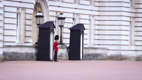 La-Guardia-De-La-Reina-De-Guardia-En-El-Palacio-De-Buckingham,-La-Residencia-Oficial-De-La-Reina-De-Inglaterra