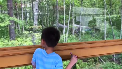 Un-Niño-Mirando-Por-La-Ventana-De-Un-Tren-En-Movimiento-Y-Viendo-Dinosaurios-De-Tamaño-Real-Escondidos-Detrás-De-Los-árboles