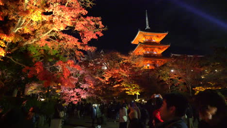 Tourist-Im-Kiyomizu-Dera-Tempel-In-Kyoto,-Japan