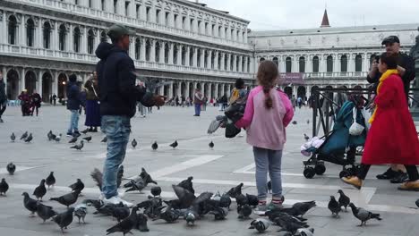 Hombre-Que-Sostiene-Palomas-Con-Turistas-En-La-Plaza-Central-De-La-Ciudad-De-Venecia