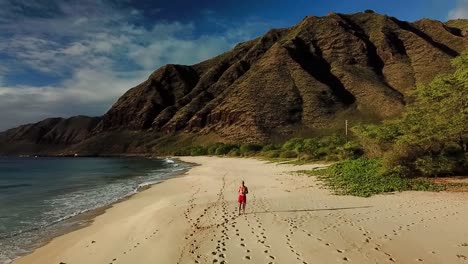 Hawaii-–-Flug-Entlang-Der-Küste-Von-Hawaii-1