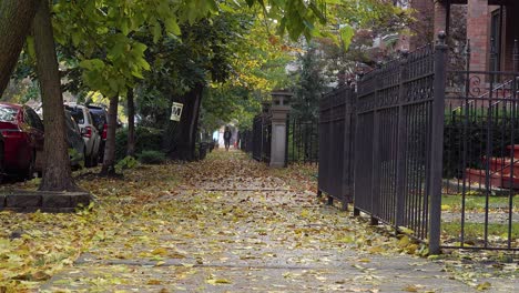 woman-walking-a-dog-on-an-autumn-morning-4k