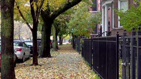 man-walking-dog-on-a-city-sidewalk-in-autumn