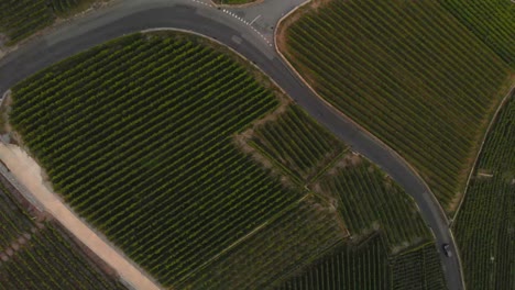 Imágenes-De-Drones-De-Suizos-Cerca-Del-Lago-Leman,-Que-Muestran-Campos-De-Uva,-Barcos,-Puerto,-Pueblos-Pequeños