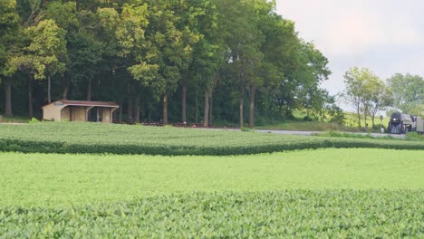 Una-Vista-Aérea-De-Un-Tren-De-Vapor-No-611-Que-Sopla-Humo-A-Través-Del-Campo-Agrícola-En-Un-Día-Soleado-De-Verano-Con-Campos-Verdes