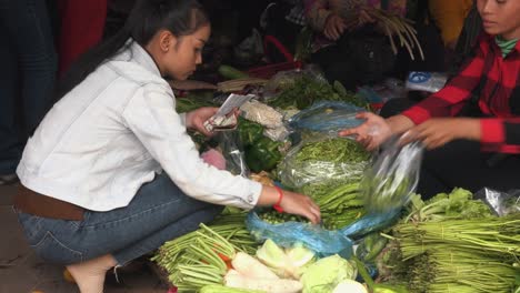Señora-Seleccionando-Verduras-Para-Comprar-En-El-Mercado
