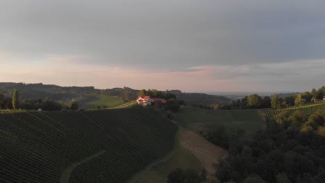a-professional-looking-aerial-shot-of-a-flight-right-towards-the-mainbuilding-of-a-vineyards-in-south-austria,-next-to-the-vine-plants