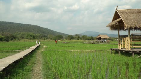 Chozas-De-Paja-Cerca-Del-Parque-De-Esculturas-De-Paja-En-Chiang-Mai,-Tailandia